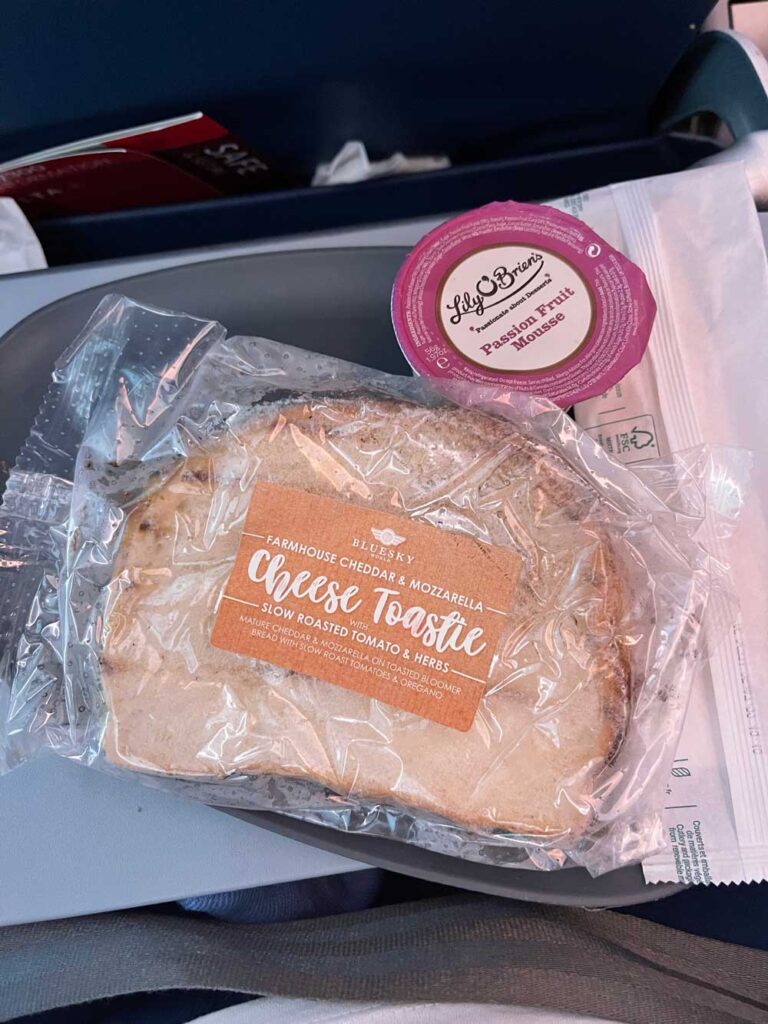 Cheese sandwich on airplane tray